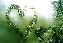 包含清晨波士顿凯尔特人刷新队史纪录：葡超节点到来，气氛紧张，赛程密集仍需轮换的词条